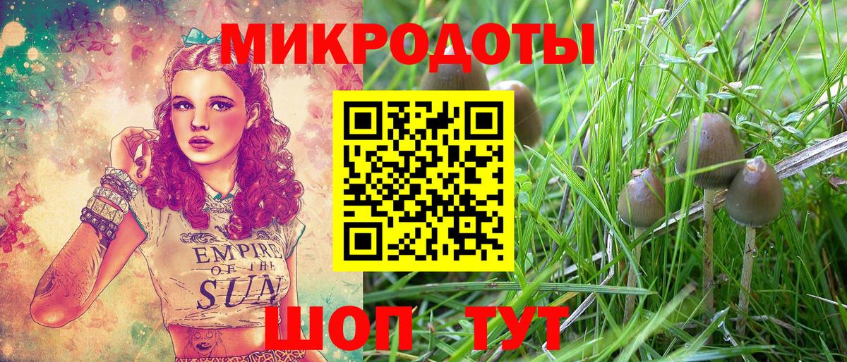 Псилоцибиновые грибы Magic Shrooms  Вход с VPN  Нефтекамск  Галлюциногенные грибы Psilocybine cubensis 