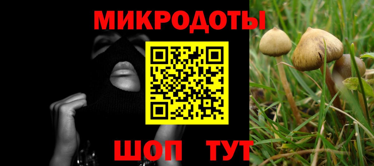 Галлюциногенные грибы прущие грибы Нефтекамск